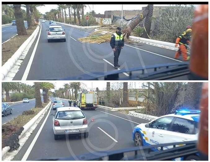 Imágenes del accidente/TA.